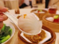 虾饺-益利大酒楼(井岸店)