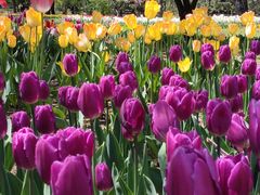 -香山公园-东宫门售票处