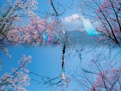 -九皇山景区