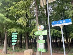 -上海长兴岛郊野公园