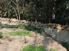 -上海野生动物园