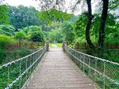 -素山寺森林公园