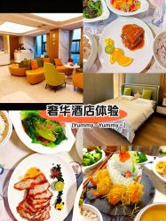 -诗安嘉康月子中心(金阳店)
