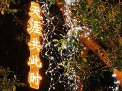-万绿园