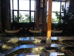 -弘安丽水温泉酒店
