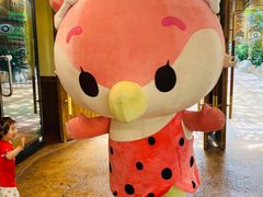 -杭州开元森泊度假乐园