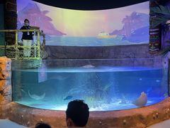 -沈阳海洋探索中心