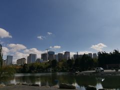 -洛龙公园