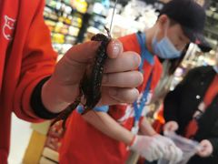 清理虾线-盒马鲜生(财富中心店)