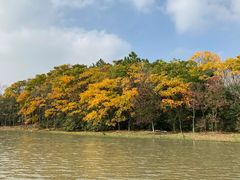 -上海海湾国家森林公园