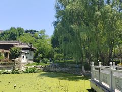 -莲湖公园