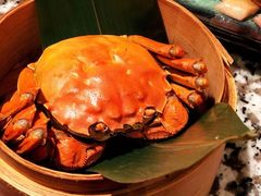 -南京大牌档(凯德大峡谷店)