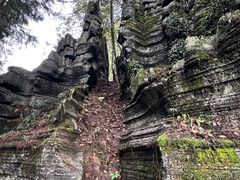 -梭布垭石林景区