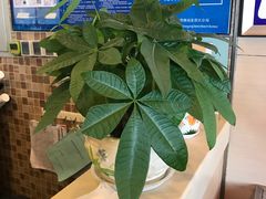 -李先生牛肉面大王(东营友谊广场店)