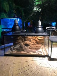 -酷嗒动物文化乐园(cutezoo西溪乐天城店)