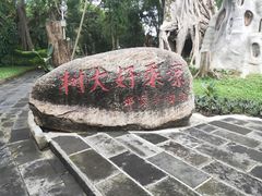 -瑞丽独树成林风景区