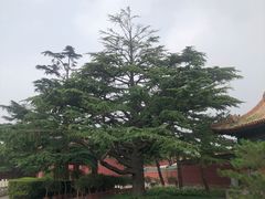 -北京市劳动人民文化宫(太庙)