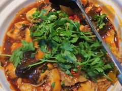 -魏铭鱼头捞饭(晋阳路店)