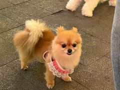 -弘阳·未来世界(弘阳广场店)