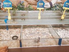 -蒙肥羊·酸汤潮牛·鲜牛肉火锅烤肉自助(岗顶店)