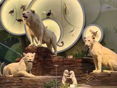 -陕西自然博物馆