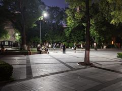 -文瀛公园
