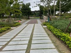 -春花秋色城市公园