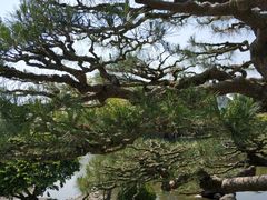 -水前寺成趣园