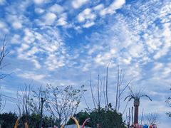 -上海月湖雕塑公园