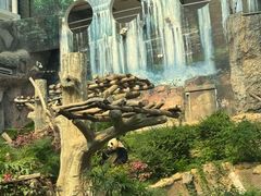 -石排湾郊野公园