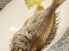 -吴记富苑(朝阳店)