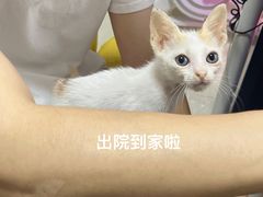 -佳佳动物医院