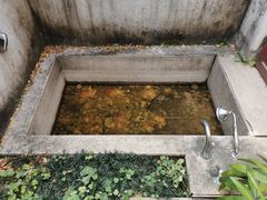 -候鸟水榕庄度假酒店