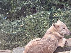 -乐和乐都主题乐园