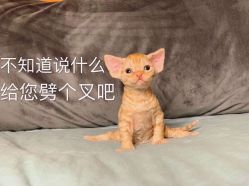 -南京宝娜嫁衣婚纱礼服馆(中央路店)