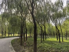 -东郊湿地公园