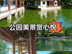 -团结湖公园