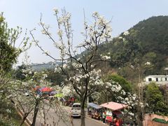 -楠柏弯休闲山庄(梨花溪店)