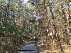 -帽儿山国家森林公园