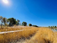 -野鸭湖国家湿地公园