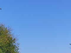 -二一九公园