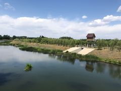 -东郊湿地公园