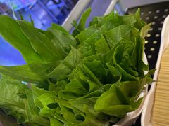 -正福居老北京正宗铜锅泉水涮肉(彰化路店)