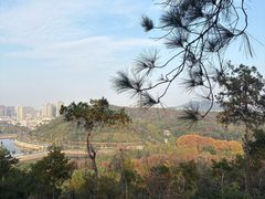 -青龙山国家森林公园