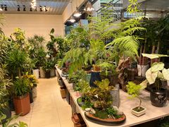 -双季花艺园艺市场(浦东店)