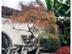 -个园