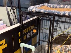 -谜盒子奇幻密室(南屏店)