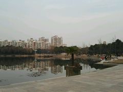 -新江湾城公园