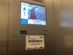 -凤凰中心
