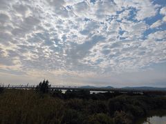 -漩门湾国家湿地公园